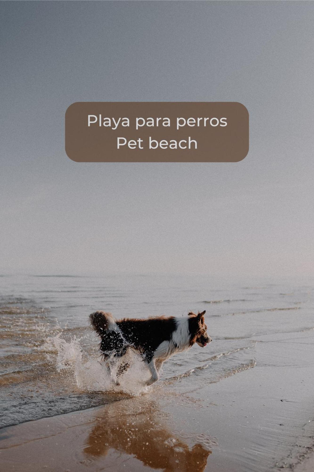 Basa Paradise - Piscina, Terraza, Wifi Y Parking Corralejo Eksteriør billede